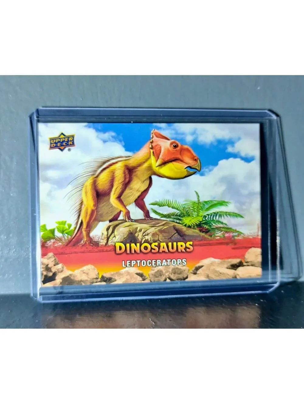 2015 Upper Deck Dinosaurs Leptoceratops Extinction Red Parallel #25 Card